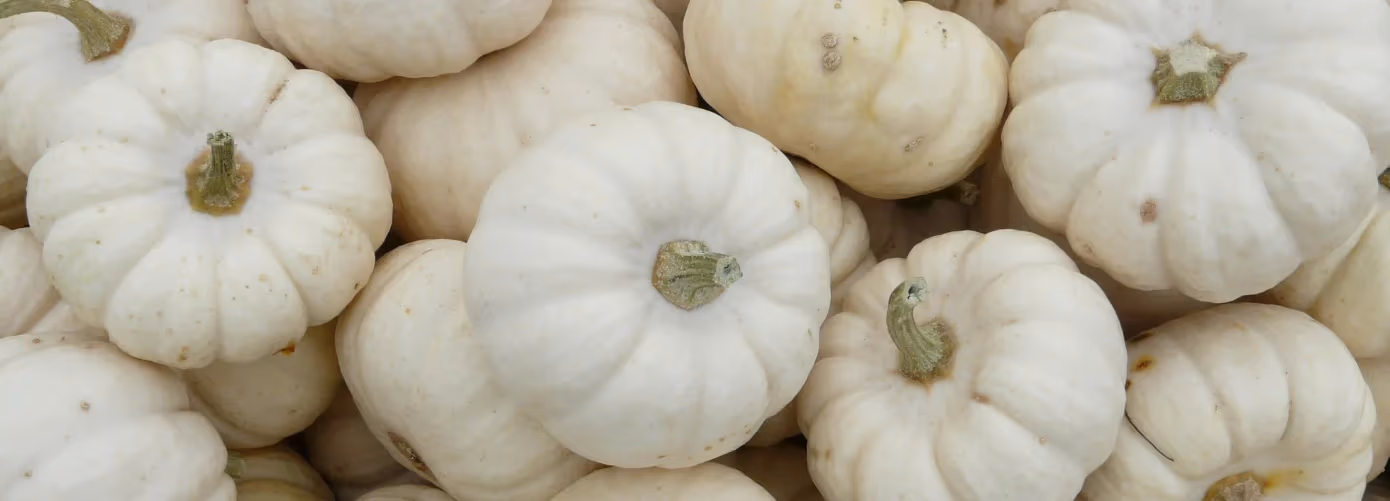 How to Use White Pumpkin Juice for Weight Loss Benefits