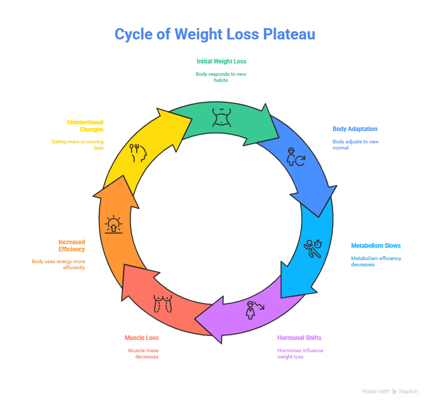 What is Considered a Weight Loss Plateau and How to Break It