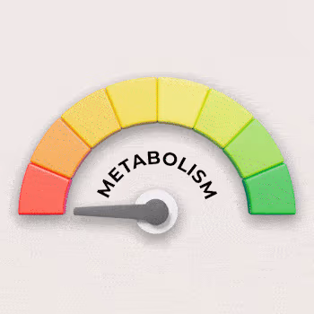 Boost Metabolism