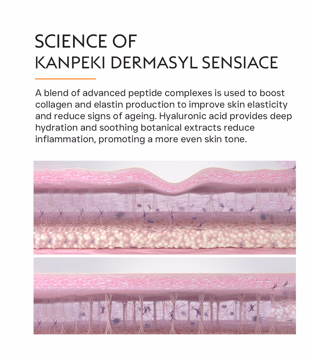 Kanpeki Dermasyl Sensiace 2