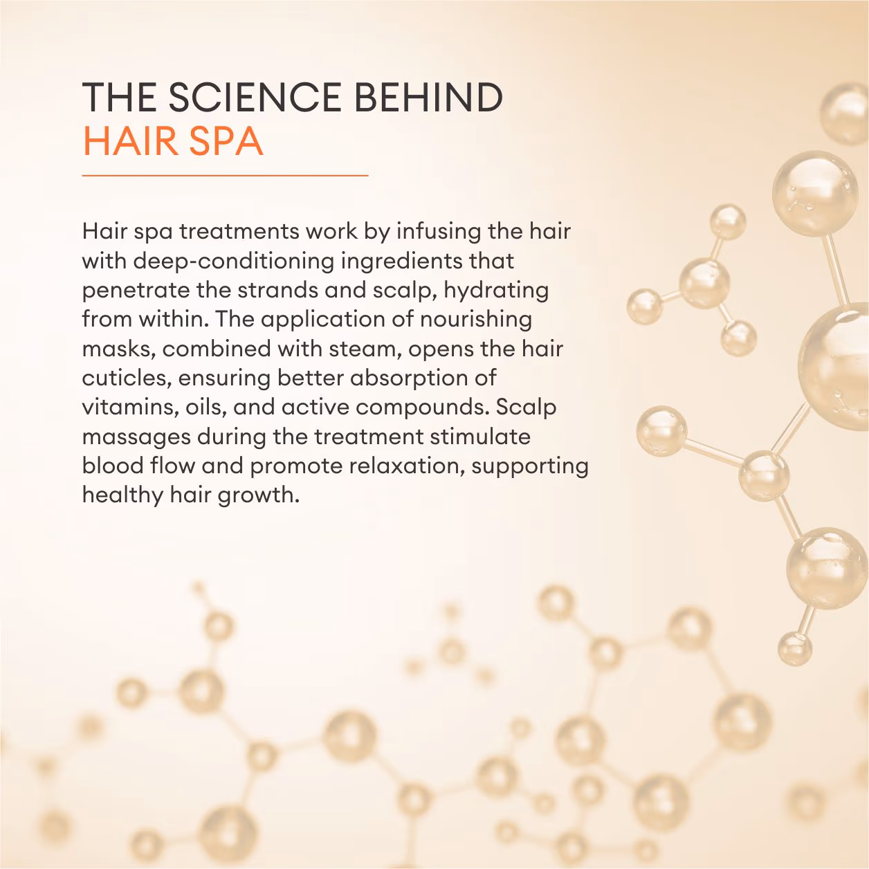 Hair Spa 2