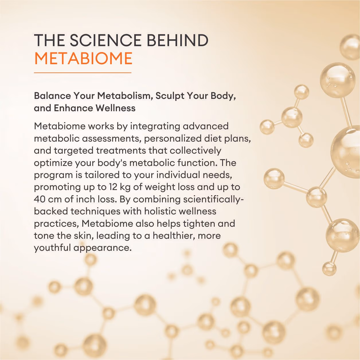 Metabiome Weight Loss 2
