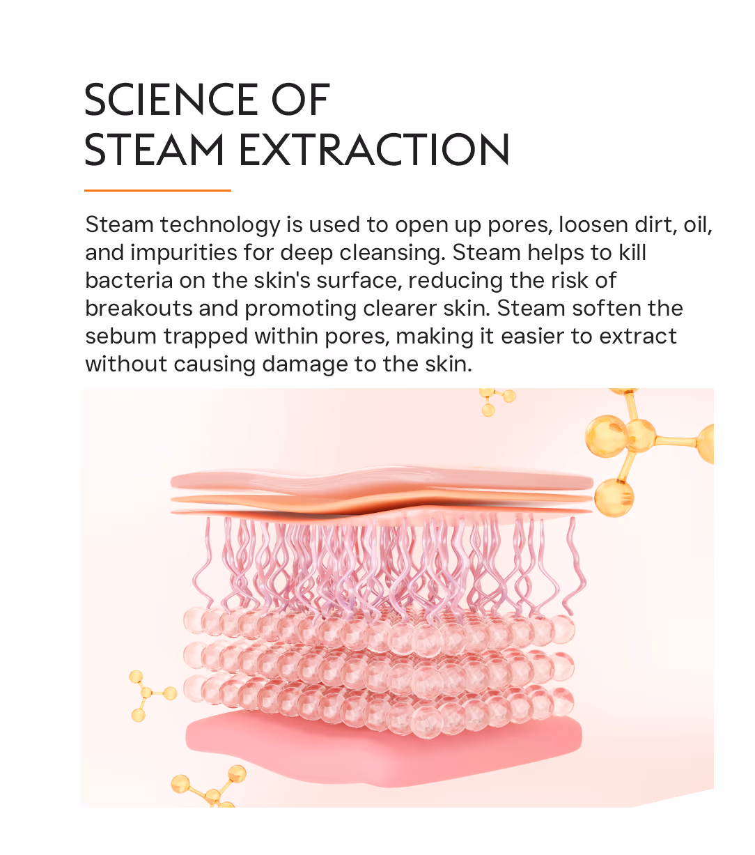 Blackheads Clogged Pores Removal Treatment 2
