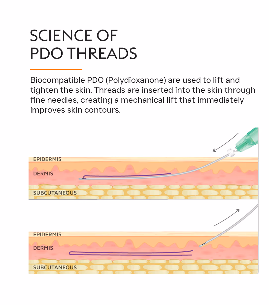 PDO Thread 2