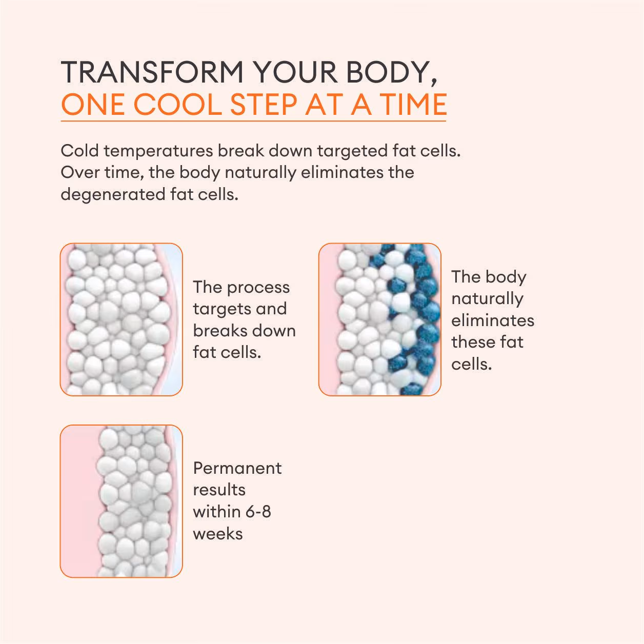 Cryolipolysis (Coolsculpting) Fat Removal 3