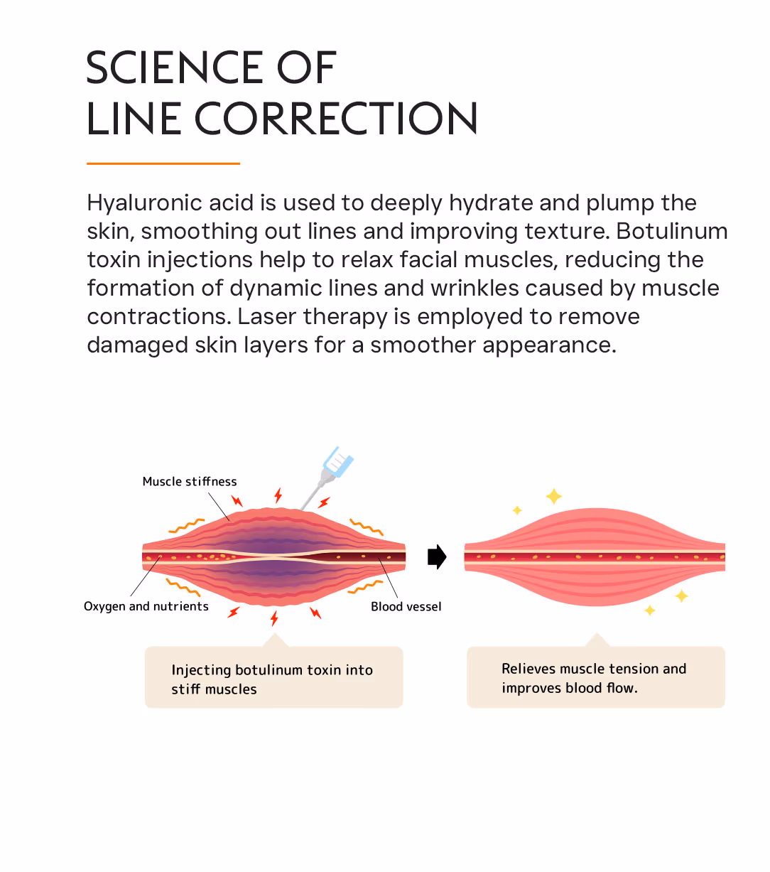 Line Correction 2