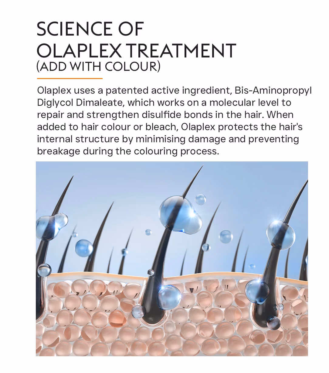 Olaplex Treatment for Hair Colour 2