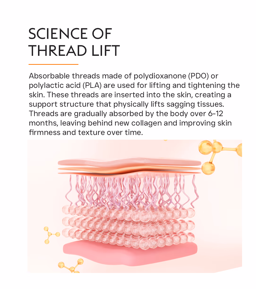 Thread Lift 2