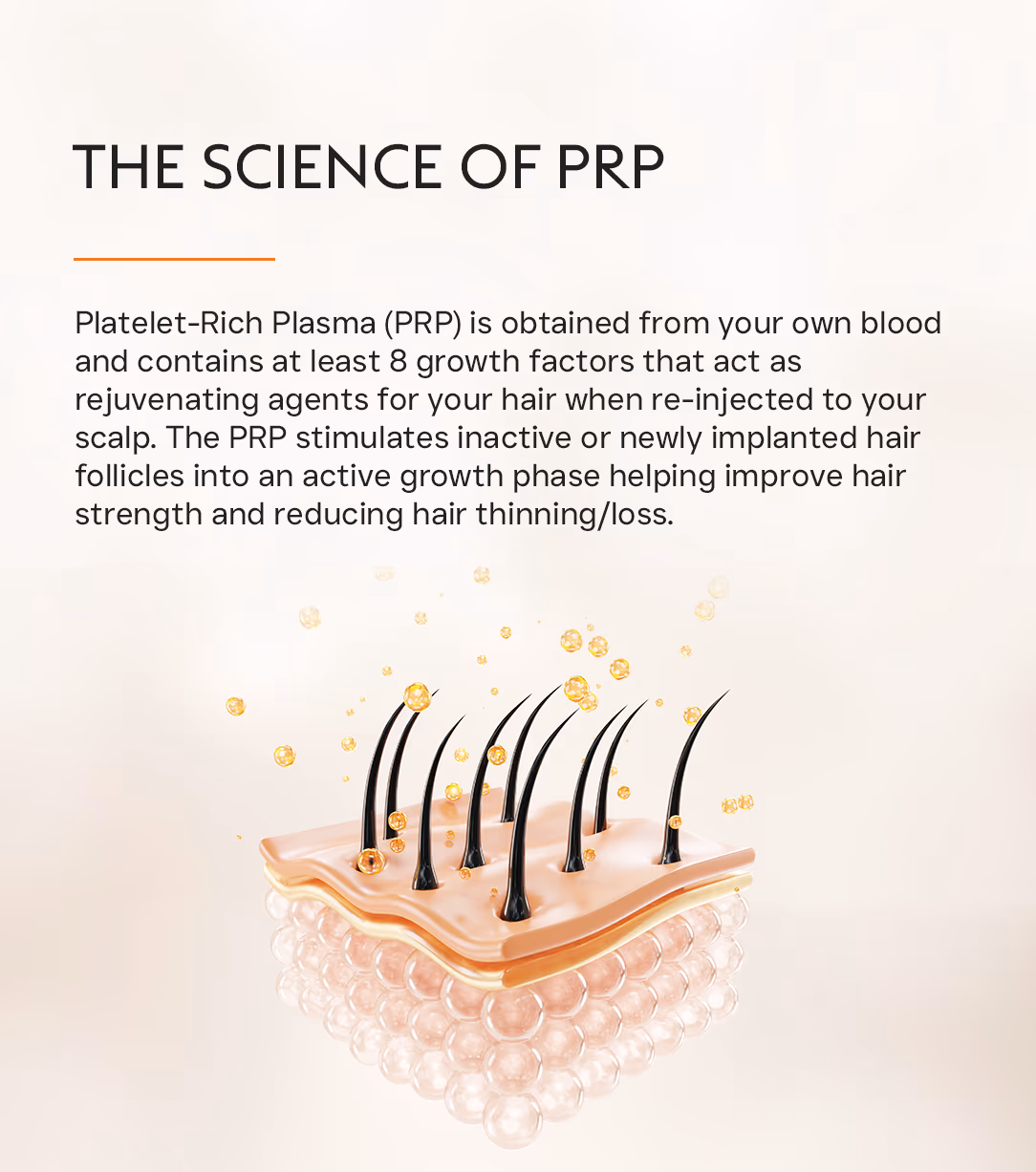 Face PRP 2
