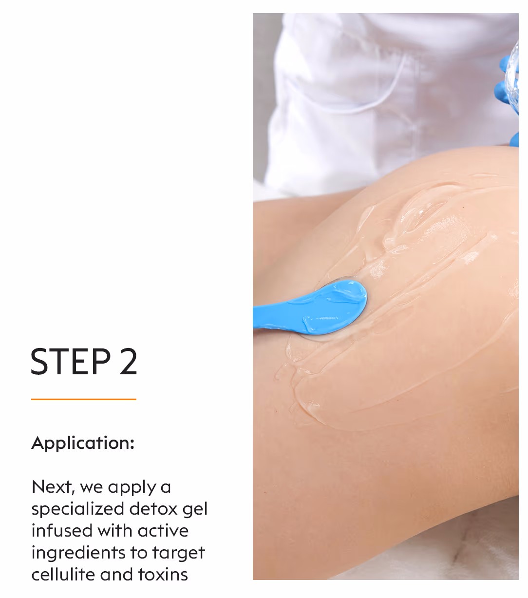 Lipo Detox 4