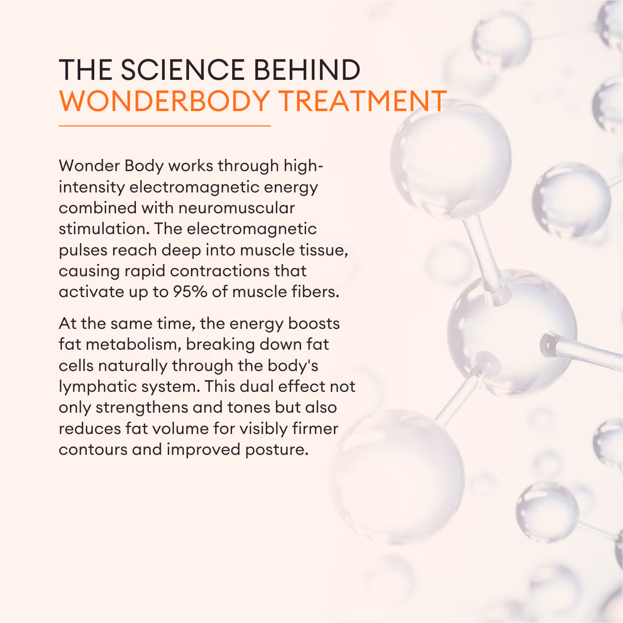 Wonder Body 3