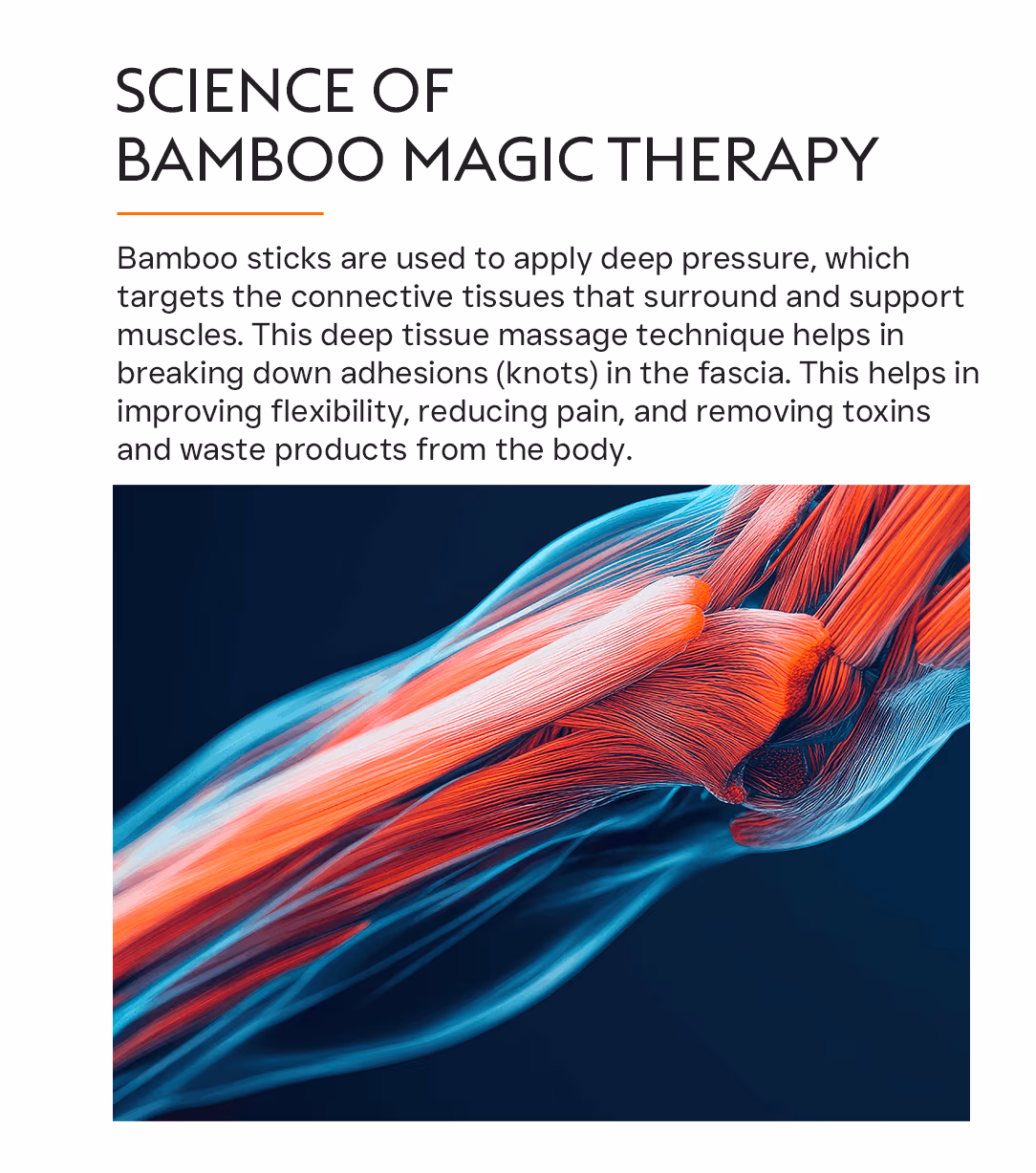 Bamboo Magic Therapy 2