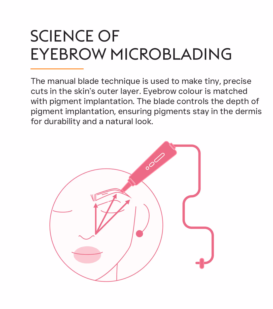 Eyebrow Microblading 2