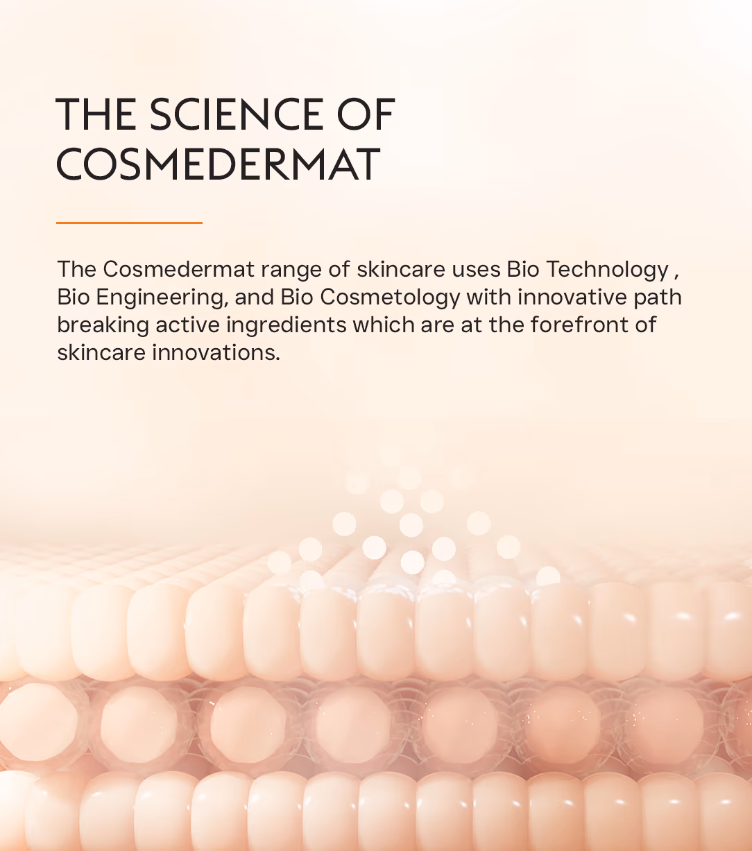 Cosmedermat Facials 2