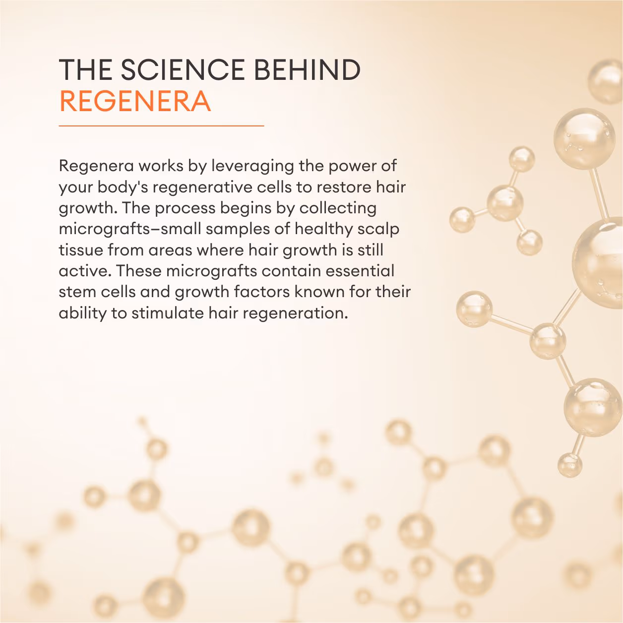 Regenera 2