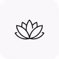 Holistic Solutions