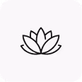 Holistic Solutions