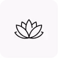Holistic Solutions